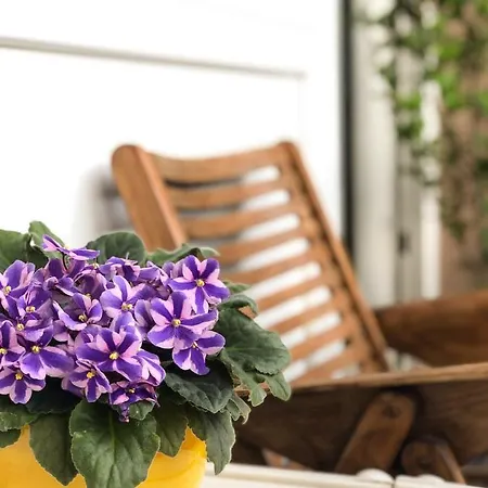Retro Chic Studio In Trnovo Apartment *
